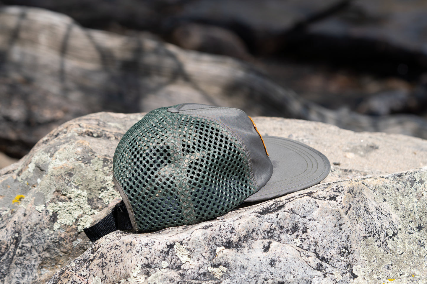 The Vista Cap - Olive