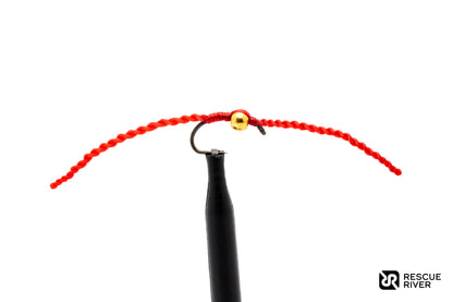 Beaded DNA Worm (4-Pack)