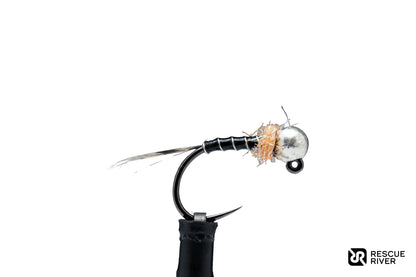 Black Thread Frenchie (4-Pack)