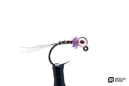 Brown Thread Frenchie (4-Pack)