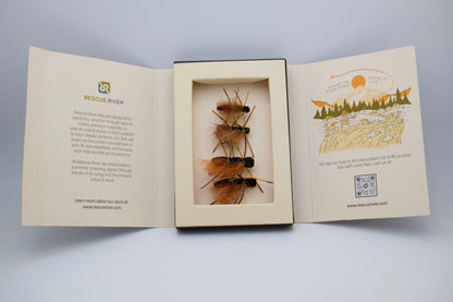 Elevated Chubby Chernobyl (4-Pack)