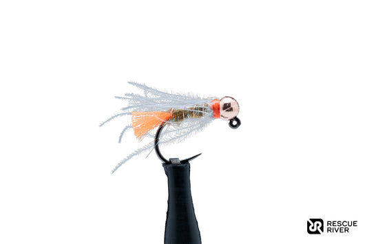 Hare's Ear Blowtorch (4-Pack)